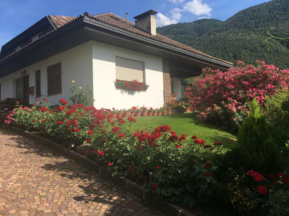 Weingut Zundlhof Villa Bolzano Dış mekan fotoğraf